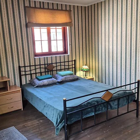公寓 Deluxe In The Center With Balcony 派尔努