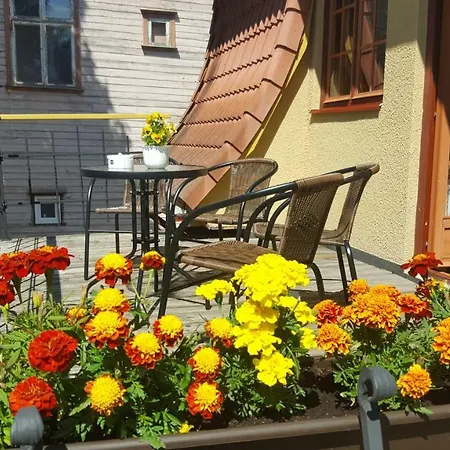 Deluxe In The Center With Balcony * Pärnu